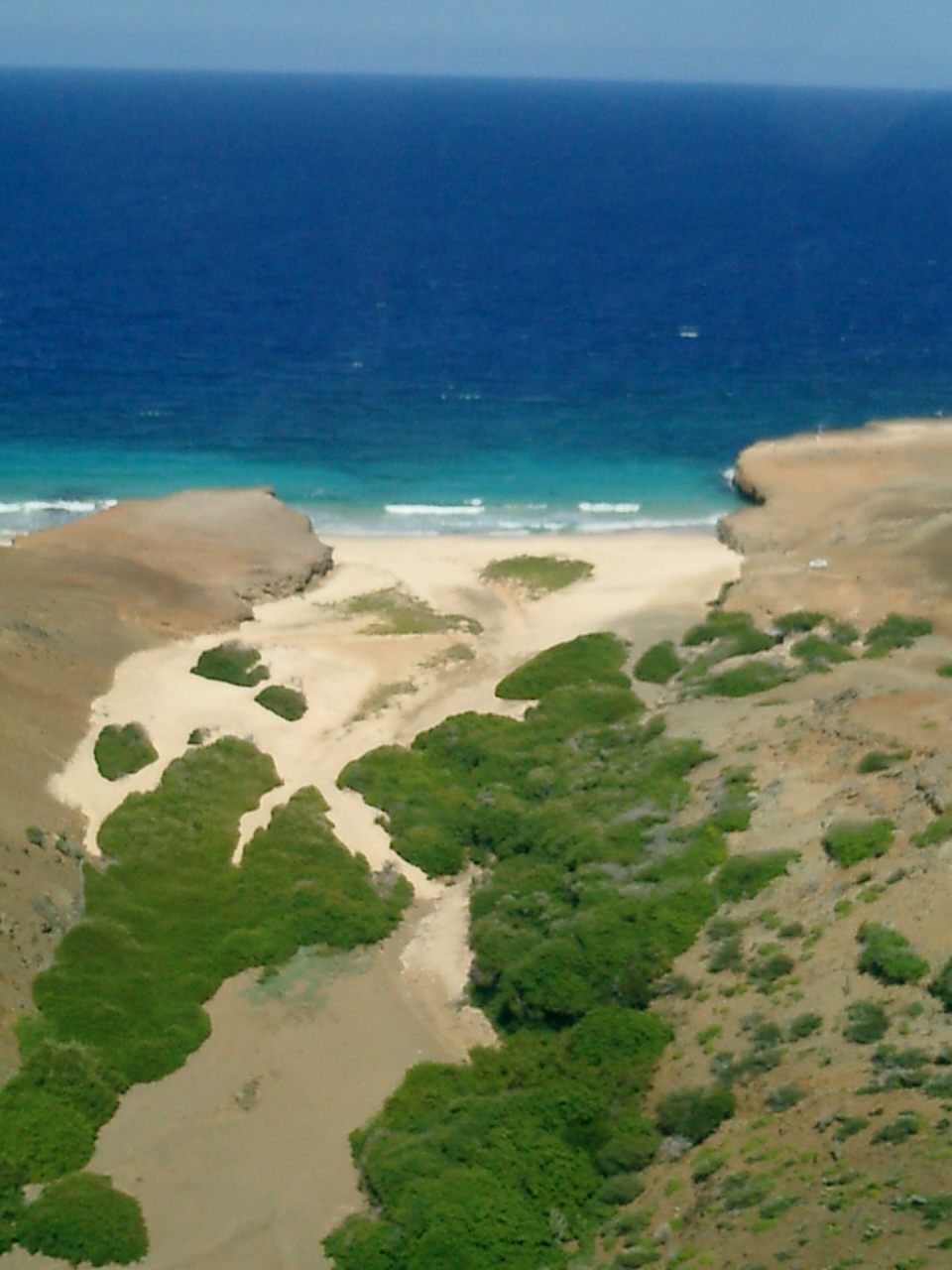 	Santa Cruz	